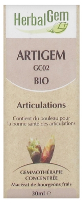 [NgRT011uyRT0013034] HerbalGem Bio Artigem 30 ml