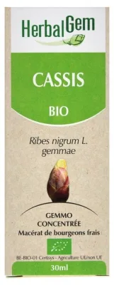 HerbalGem Cassis Bio 30 ml