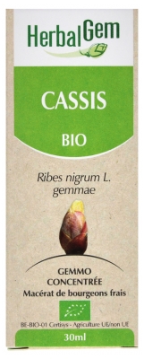 HerbalGem Cassis Bio 30 ml