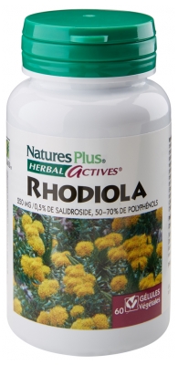 Natures Plus Herbal Actives Rhodiola 60 Gélules Végétales