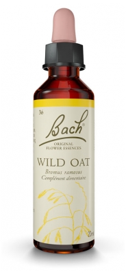 Wild oat 36 20ml Fleurs de bach Famadem
