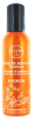 Énergie Brume de Bien-Être 100ml Elixirs & Co