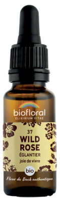 Biofloral Fleurs de Bach 37 Wild Rose Bio 20 ml