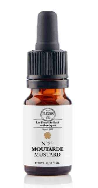 Elixir De Bach N°21 Moutarde Elixirs & Co