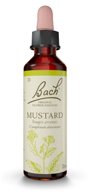 Famadem Fleurs de bach 21 mustard 20ml