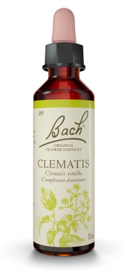 [844FgT00004vuf8] Fleurs de Bach Original Clematis 20 ml