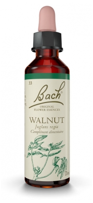 Fleurs de bach 33 walnut 20ml Famadem