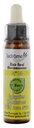 Ladrôme Fleurs De Bach Elixir Floral N°14 : Églantier Bio 10 ml