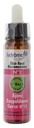 Ladrôme Fleurs De Bach Elixir Floral N°2 : Ajonc Bio 10 ml