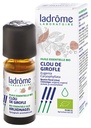 Ladrôme Huile Essentielle Clou de Girofle (Eugenia caryophyllata) Bio 10 ml