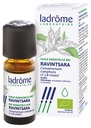Ladrôme Huile Essentielle Ravintsara (Cinnamomum camphora ct 1,8-cineol) Bio 10 ml