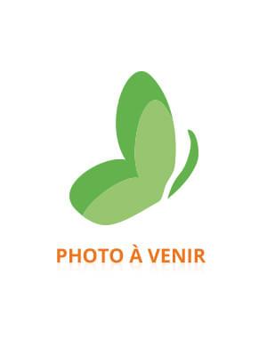 [844FgT8396473] Difrax Brosse à Dents de Doigt 5 Mois et +