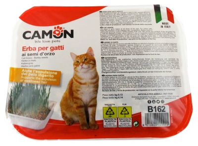 [844FgT8402599] Camon Herbe à Chats en Barquette