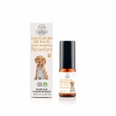 Réconfort Pour Animaux Spray 10ml Elixirs & Co