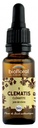 Biofloral Fleurs de Bach 09 Clematis Bio 20 ml
