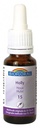 Biofloral Fleurs de Bach 15 Holly Bio 20 ml