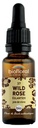Biofloral Fleurs de Bach 37 Wild Rose Bio 20 ml