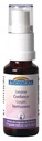 Biofloral Fleurs de Bach Complexe Confiance C6 Bio 20 ml