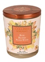Bougie Bois Blond 180g Les collines de Provence