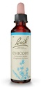 Chicory n°8 20ml Fleurs de bach Famadem