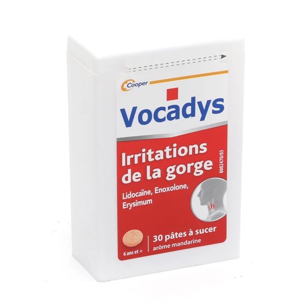 [844FgT8204752] Vocadys pâte à sucer