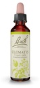 Fleurs de Bach Original Clematis 20 ml