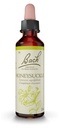 Fleurs de bach 16 honeysuckle 20ml Famadem