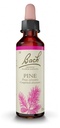 Fleurs de bach 24 pine 20ml Famadem