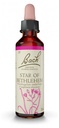Fleurs de bach 29 star of bethlehem 20ml Famadem