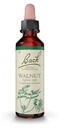 Fleurs de bach 33 walnut 20ml Famadem